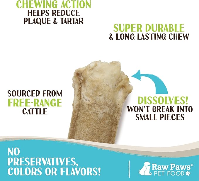 Raw Paws 5-inch Compressed Rawhide Rolls for Dogs, 20-ct - Packed in The USA - Pressed Rawhides for Dogs - Free-Range Raw Dog Hide Chews - Natural Rawhide Dog Chew Sticks for Puppies & Small Dogs