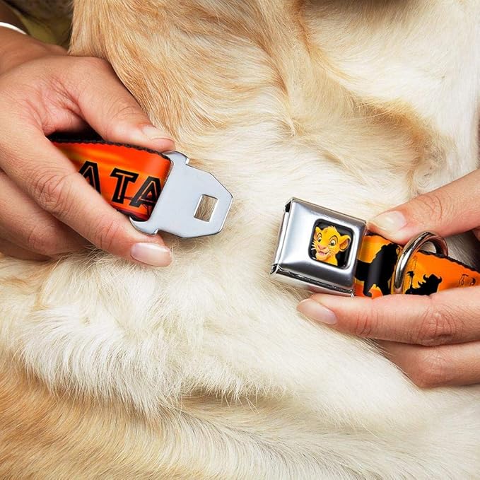 Dog Collar Seatbelt Buckle Lion King Hakuna Matata Sunset Oranges Black 15 to 26 Inches 1.0 Inch Wide