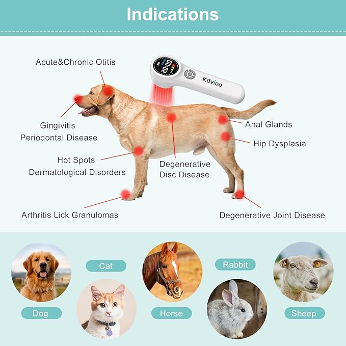 Cold Laser Therapy Device for Dogs, 16pcs 660nm & 4pcs 810nm & 4pcs 980nm Infrared Red Light Therapy Machine for Pain Relief, Arthritis, Spinal, Promote Blood Circulation, for Pets