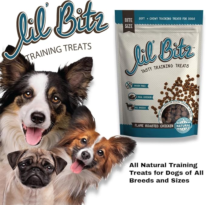 Lil' Bitz Flame Roasted Chicken Training Treats for All Dog Breeds - Low Calories, Grain Free, Natural Ingredients, NASC Compliance - Perfect Reward for Dogs of Every Size (6 Pack)