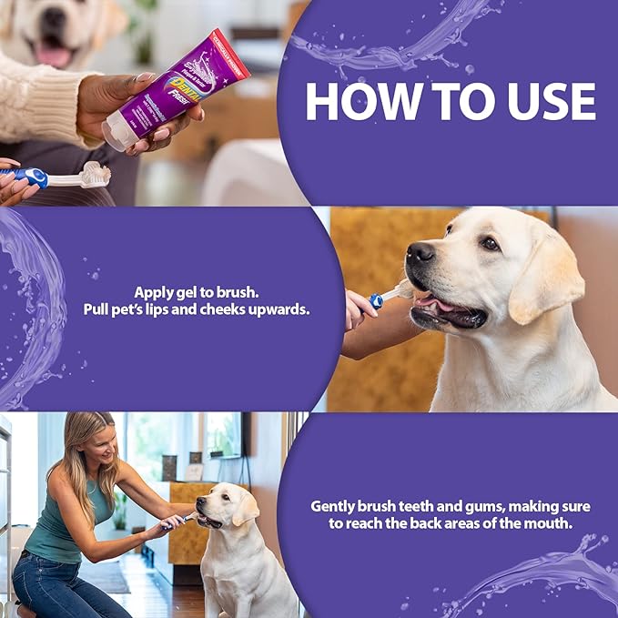 Dental Fresh Enzymatic Gel for Dogs, Dog Toothpaste – Dog Essentials for Dog Teeth Cleaning