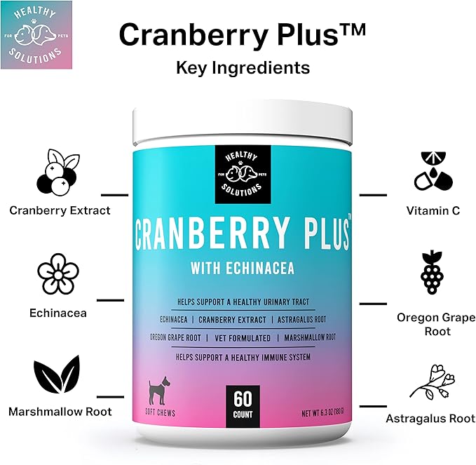 Cranberry Chews for Dogs - UTI, Bladder, Kidney, & Urinary Tract Support - Dog Health Supplements Contain Cranberry Extract, Echinacea, Vitamin C, and Astragalus Root - 60 Soft Treats