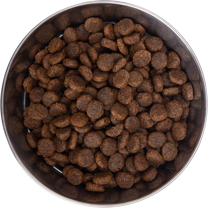Health Extension Dry Dog Food, Natural Food with added Vitamins & Minerals, Suitable for All Puppies, Grain Free, Salmon & Sweet Potato Recipe with Whole Vegetable & Berries (1 Pound)