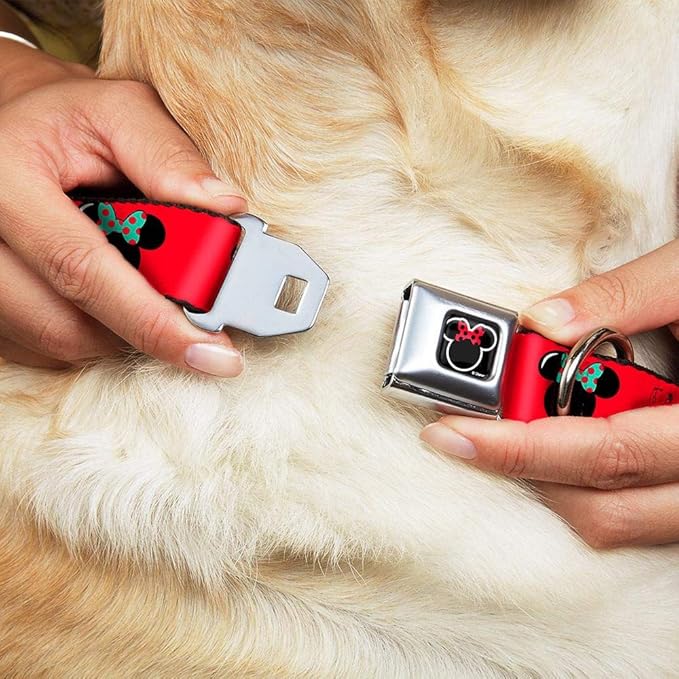 Buckle-Down Seatbelt Buckle Dog Collar - Minnie Mouse Silhouette Red/Black/Polka Dot - 1" Wide - Fits 9-15" Neck - Small