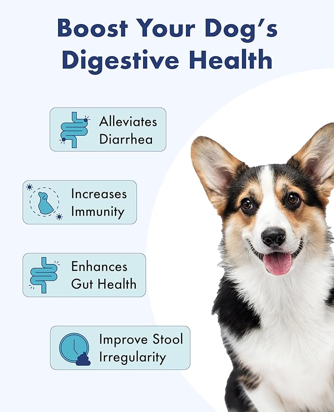 Probiotics for Dogs and Puppy, Powder Digestive Health & Immune Support Supplements with Palatinose, Chicory Dietary Fiber and Lactobacillus - 30 Individually Packaged (1 PACK (30 Count))