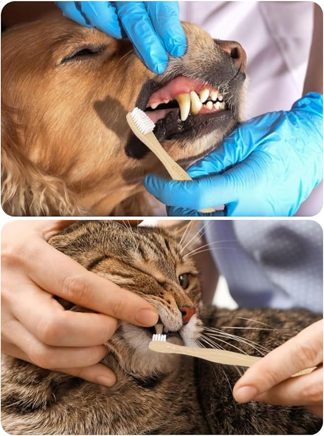 Dog Toothbrush,Pets Bamboo Tooth Brush Double-Sided Small & Large Head Toothbrushes for Dogs Cats,Biodegradable Eco-Friendly Teeth Cleaning Tool (Black 6 Pack)