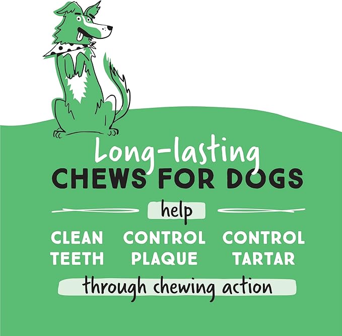 Ultra Chewy Denta-Mint Minis Value Pack Dental Dog Treats. Made in The USA, Healthy Treats, Easy to Digest, Promotes Dental Health - 2 Packs/20 Oz Per Pack