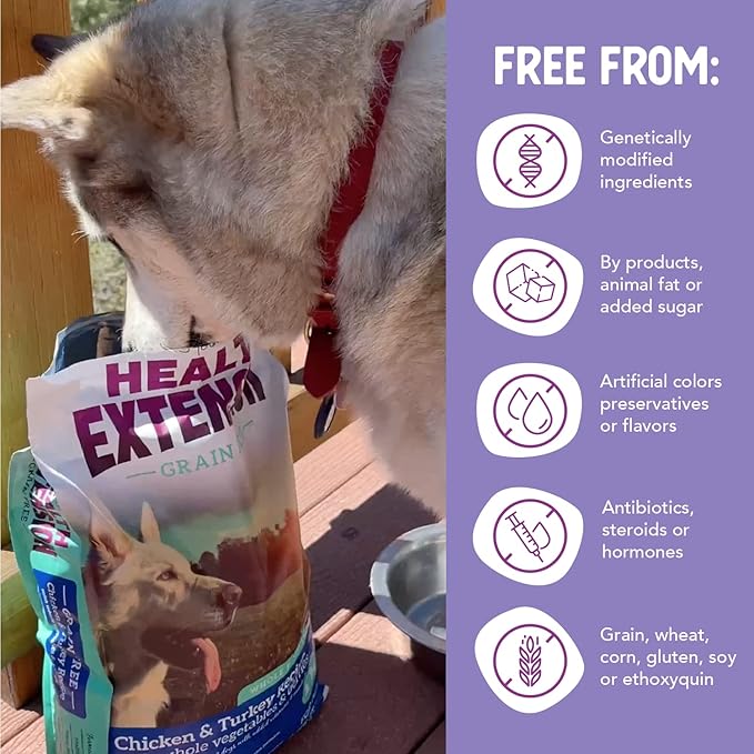 Health Extension Grain Free Formula, Dog Food, Chicken and Turkey with Whole Vegetables and Berries, 10-Pound