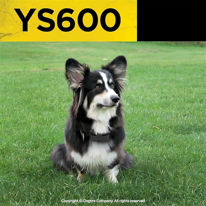 Dogtra YS600 Anti Bark Collar for Medium to Large Dogs, Adjustable 10 Intensity Levels, Vibration Warning, Low/High Stimulation, Waterproof, 2-Hour Quick Charge Rechargeable Battery, w/PetsTEK Clicker