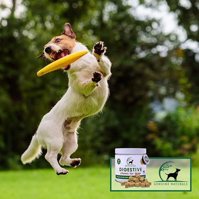 Digestive Supplement for Dogs - Recommended Probiotics Chew by FurParents - Improves Digestive and Gut Health, Helps with Diarrhea, Upset Stomach, Bad Breath & Constipation, 120 Count