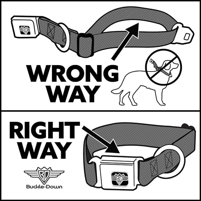 Buckle-Down Seatbelt Buckle Dog Collar - SCOOBY DOO Group Pose/Bones - 1" Wide - Fits 9-15" Neck - Small
