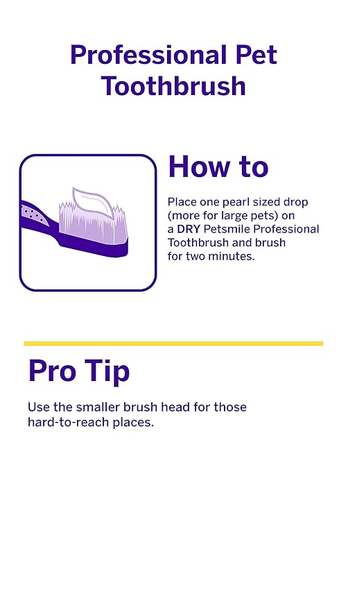 petsmile Professional Cat & Dog Toothbrush - Patented 45° Dual-Ended Brush Head for Small & Large Pets - Teeth Cleaning Pet Essentials - VOHC Approved Pet Supplies