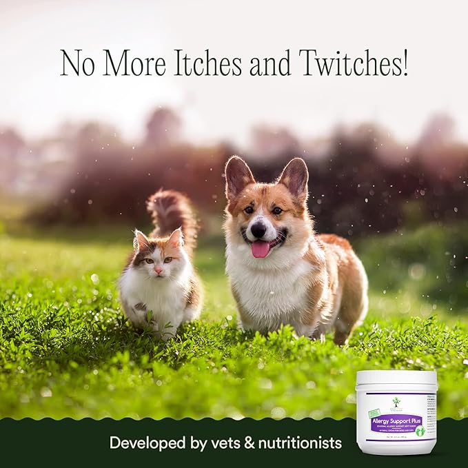 pawTree Natural Allergy Support Plus for Dogs-Ideal for Itching, Irritated Skin, Seasonal and Food Allergies, Hot Spots. Supplement your pet will love. Small Chews for Pets - 60 Count (Large)