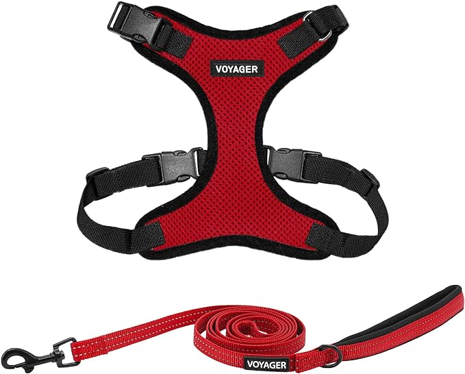 Voyager Step-in Lock Dog Harness w Reflective Dog Leash Combo Set with Neoprene Handle 5ft - Supports Small, Medium and Large Breed Puppies/Cats by Best Pet Supplies - Red/Black Trim, XL