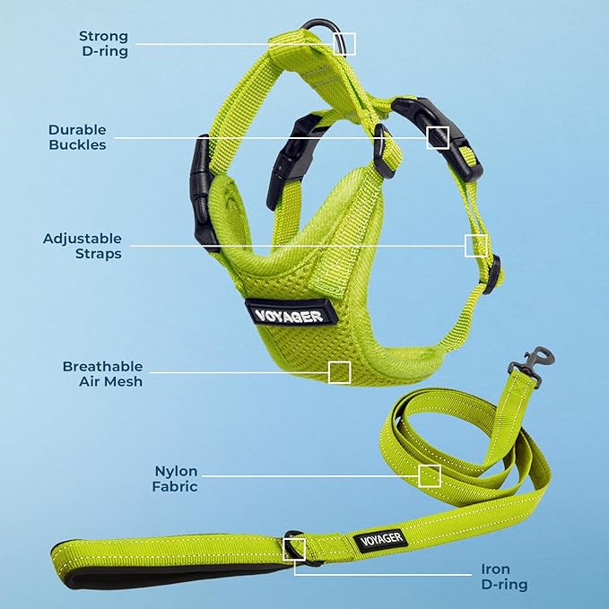 Voyager Step-in Lock Dog Harness w Reflective Dog Leash Combo Set with Neoprene Handle 5ft - Supports Small, Medium and Large Breed Puppies/Cats by Best Pet Supplies - Lime Green, M