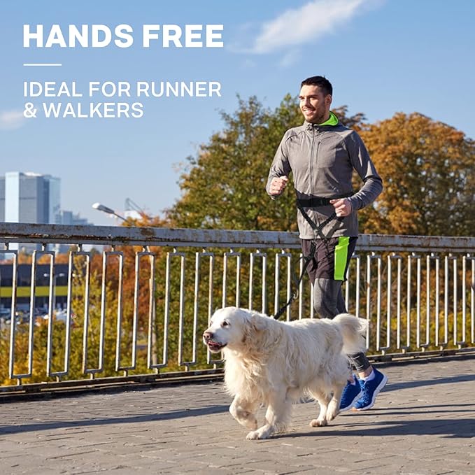 Pecute Hands Free Dog Leash Upgraded with Treat Pouch, Running Leash for Dogs, Waist Leash for Dog Walking Hiking, Durable 4 Bungees, Dual Handles, Night Reflective Safety