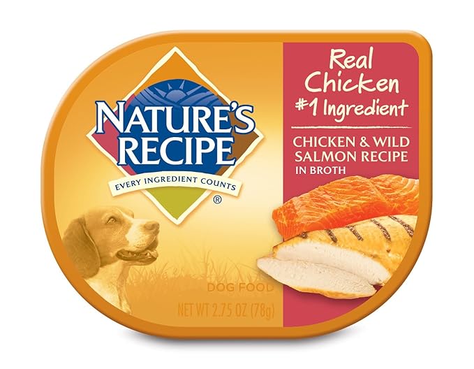 Nature's Recipe Wet Dog Food, Chicken & Wild Salmon Recipe In Broth, 2.75-Ounce Cup (Pack of 24)