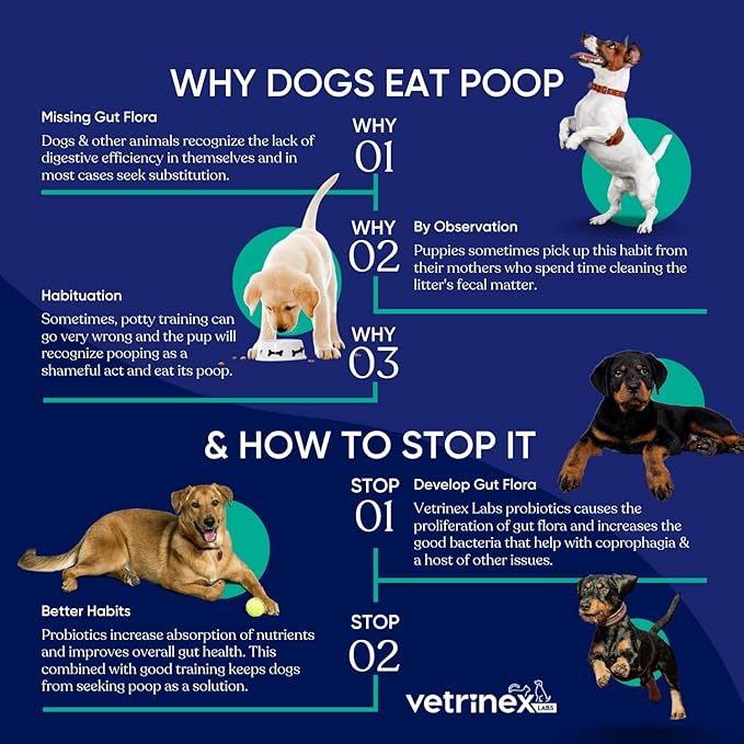 Coprophagia Poop Eating Deterrent & Prevention, Stop & Prevent Stool Eating Treatment - Probiotics for Dogs, Cats and Puppies - Forbids Dog from Eating Poop - Probiotic Powder (120 GMS)