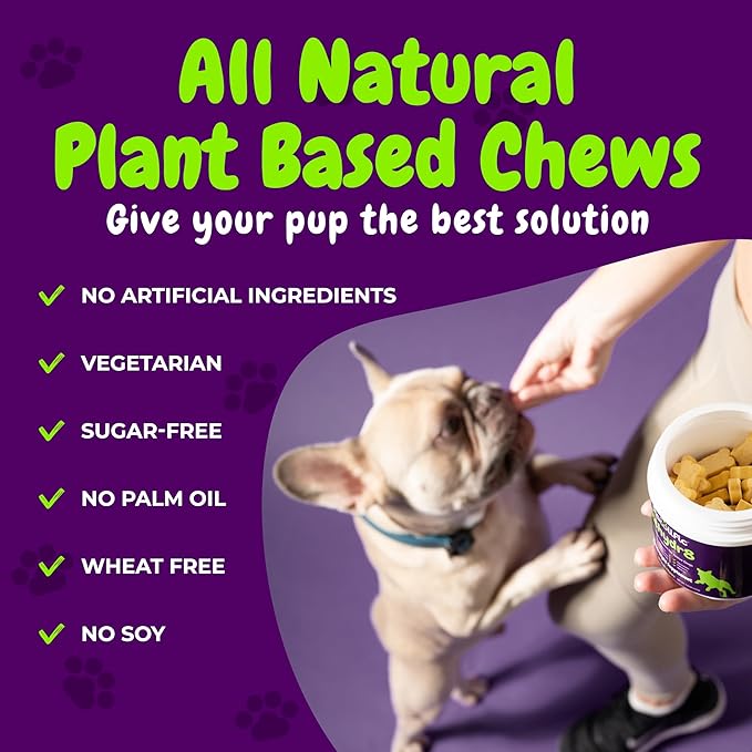 Probiotics and Digestive Enzymes for Dogs - Gut Flora, Digestive Health, Diarrhea & Bowel Support - Functional Dog Supplement Soft Chews for Immune System Boost with Pumpkin