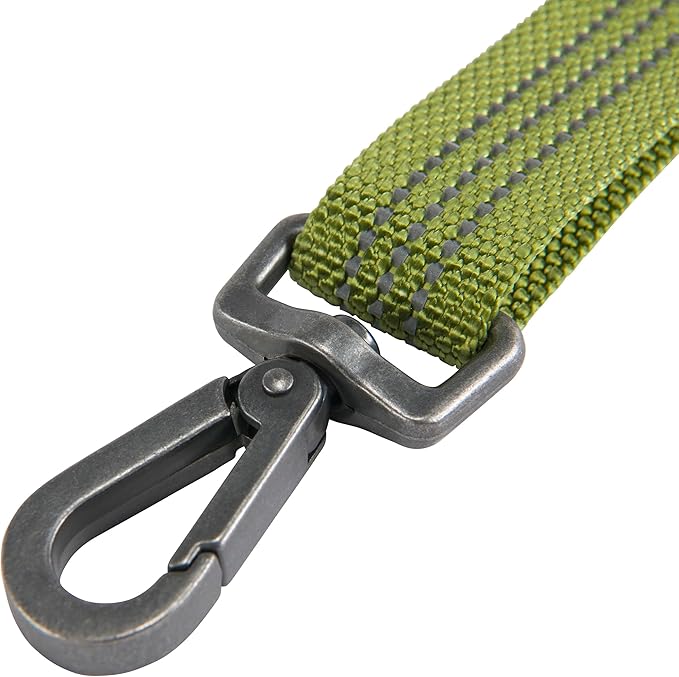Carhartt Pet Durable Nylon Webbing Leashes for Dogs, Reflective Stitching for Visibility, Light Moss, Large