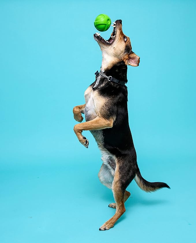 Hartz Dura Play Bacon Scented Squeak Ball Dog Toy for Small Breeds, 3 Pack