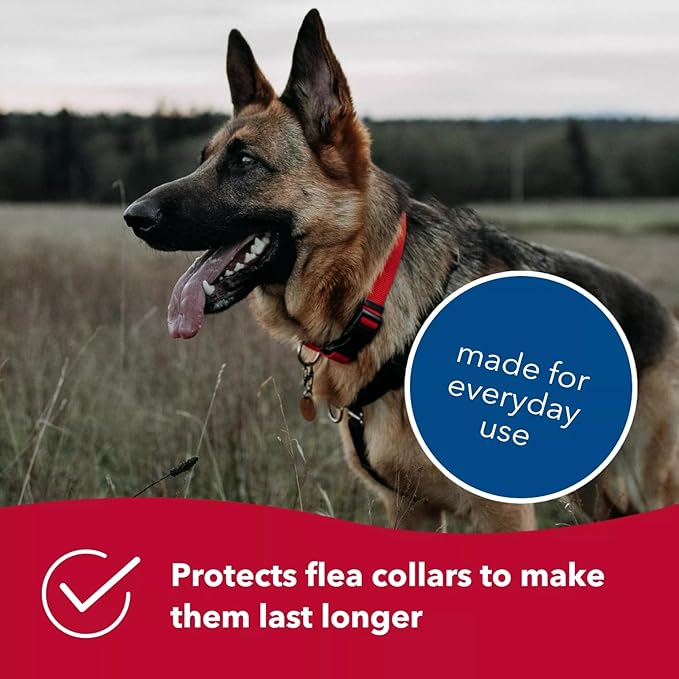 Coastal Pet SecureAway Flea Collar Protectors - Comfortable Dog Collar Accessory - Protective Flea Collar for Dogs - Adjustable Dog & Puppy Flea Collar Protection - Multi Bones, 5/8" x 8-12"