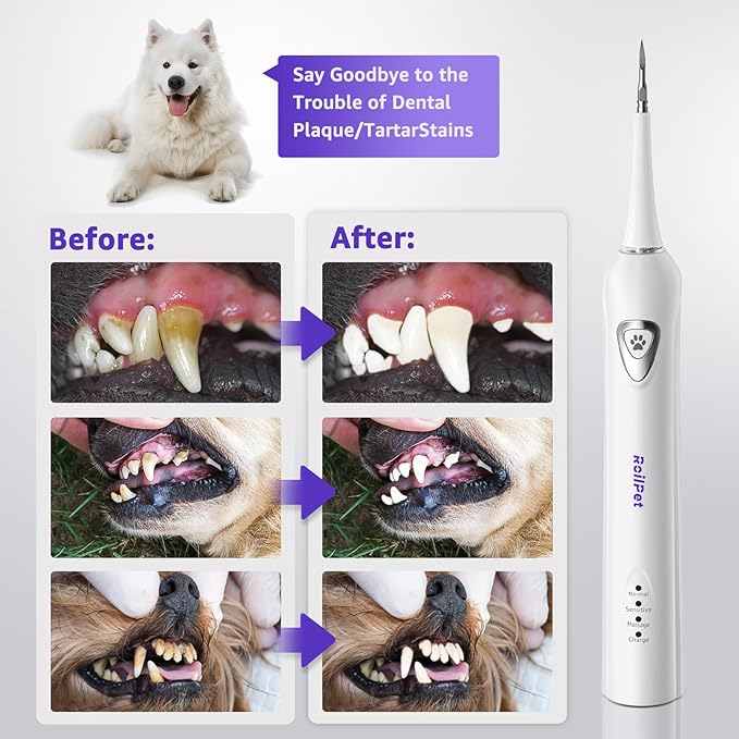 Dog Teeth Cleaning Kit, Dog Plaque and Tartar Remover with Dog Finger Toothbrush, Rechargeable Sonic Electric Dog Tooth Scraper & Brushing Kit for Dog, Pet