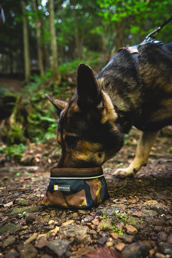 Ruffwear, Front Range Dog Collar, Durable and Comfortable Collar for Everyday Use, Moonlight Fade, 14"-20"