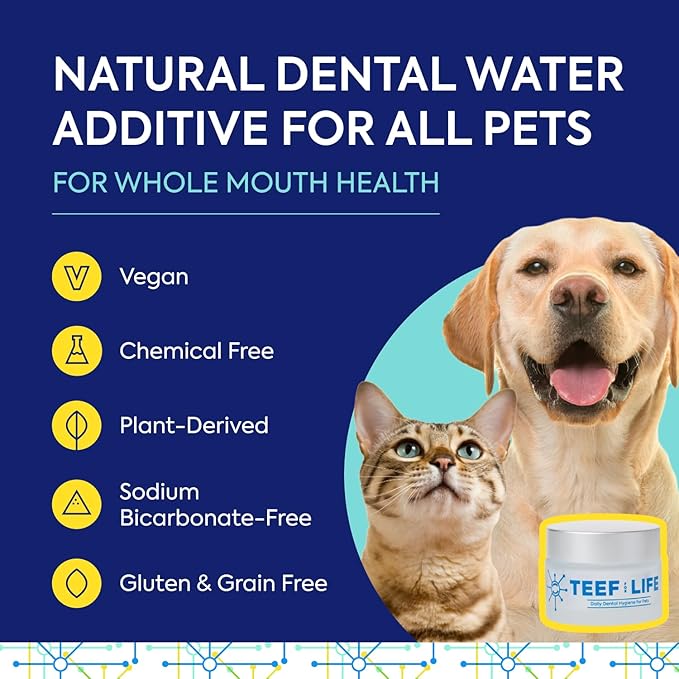 Protektin42+K Plant-Derived Daily Dental Care for All Pets (Sodium-Free), Dental Water Additive, Fights Plaque and Tartar, Dental Kit with 30 Servings for Life