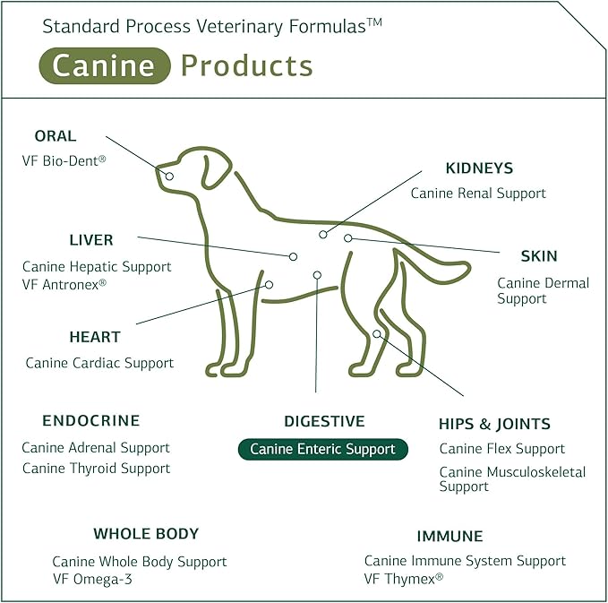 Standard Process - Canine Enteric Support - Digestive System Support for Dogs - 30 Grams