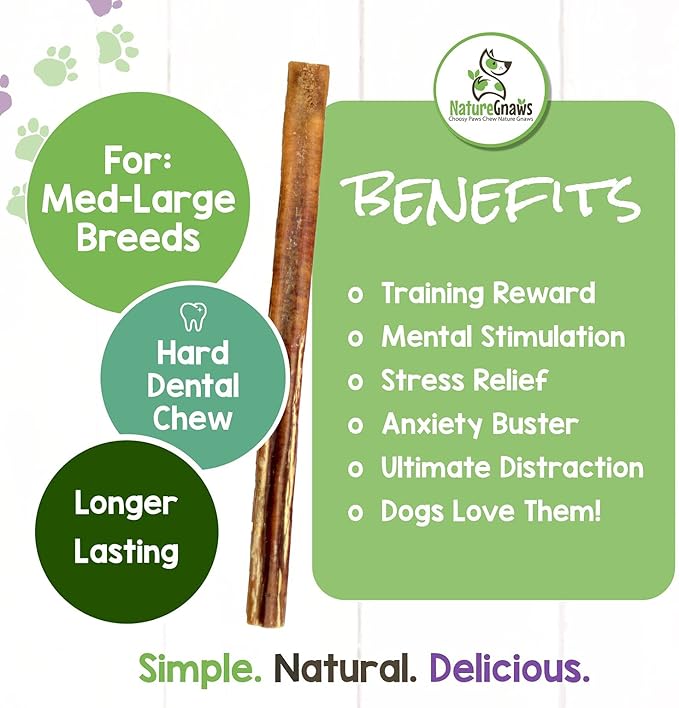 Nature Gnaws Bully Sticks for Large Dogs - Premium Natural Beef Dental Bones - Thick Long Lasting Dog Chew Treats for Aggressive Chewers - Rawhide Free - 12 Inch (10 Count)