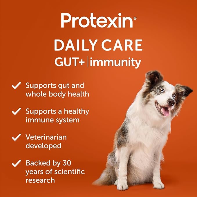 Daily Care Gut+ Immunity, 60 probiotic and postbiotic Dog Supplement Chews – Turkey and Cranberry Flavored