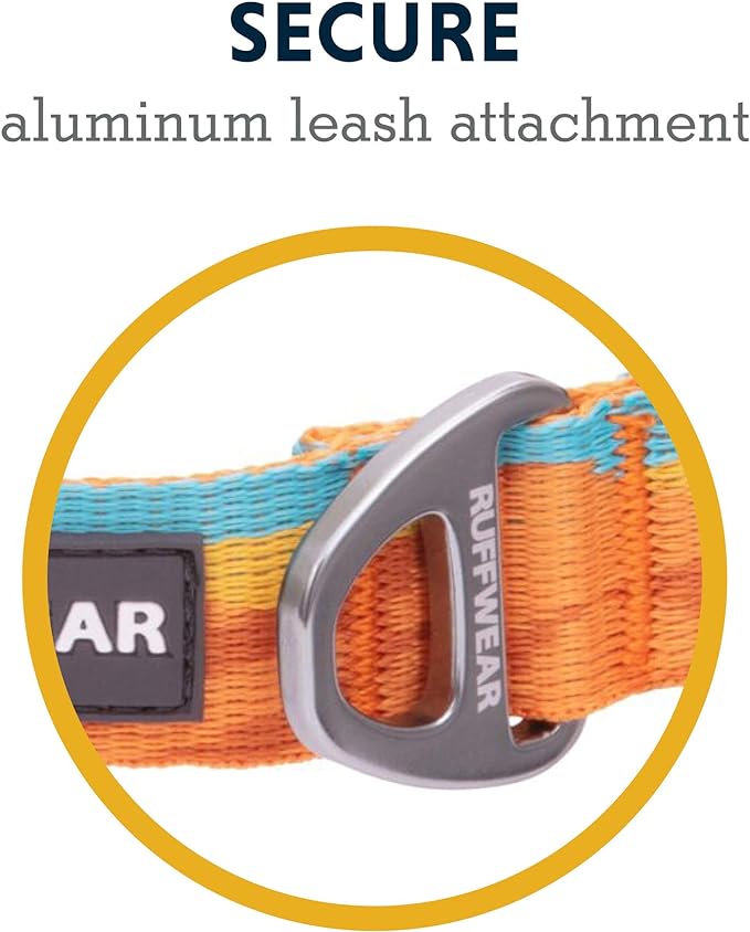 Ruffwear, Flat Out Dog Collar (Formerly Hoopie), Webbing Collar for Walking and Everyday Use, Fall Mountains, 11"-14"