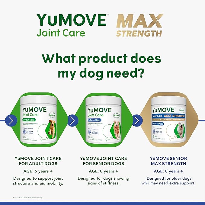 Dog Joint Supplement for Seniors, Maximum Strength Joint Supplement for Older, Stiff Dogs with Glucosamine, Chondroitin, Green Lipped Mussel, Ages 9+, 120 Tablets