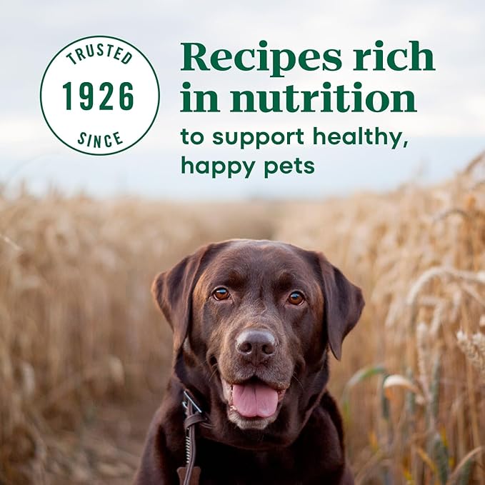 Nutro Max Senior Dry Dog Food with Farm-Raised Chicken, 25 lb. Bag