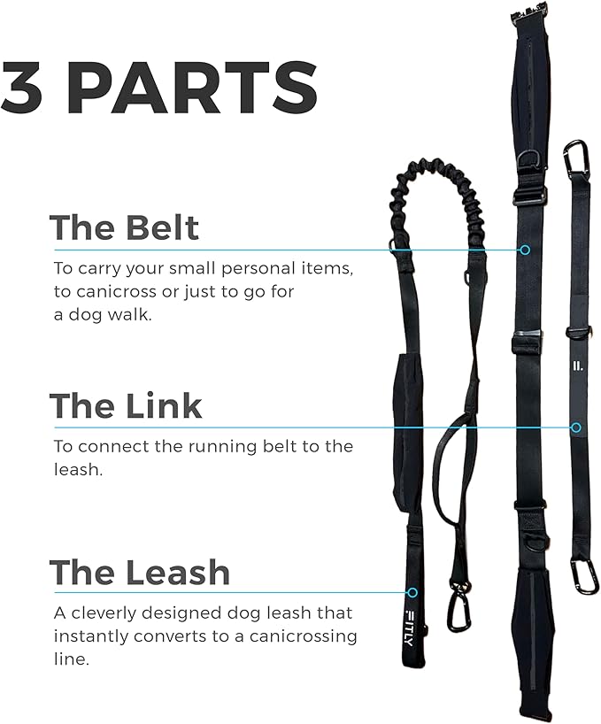 Dog Running Waist Belt - Running Dog Lead - Canicross Harness Carry Personal Items Running, Walks, Hikes - Waist Leads for Dogs with Belt Pouch, Converts into Canicrossing Line - Nifty Black