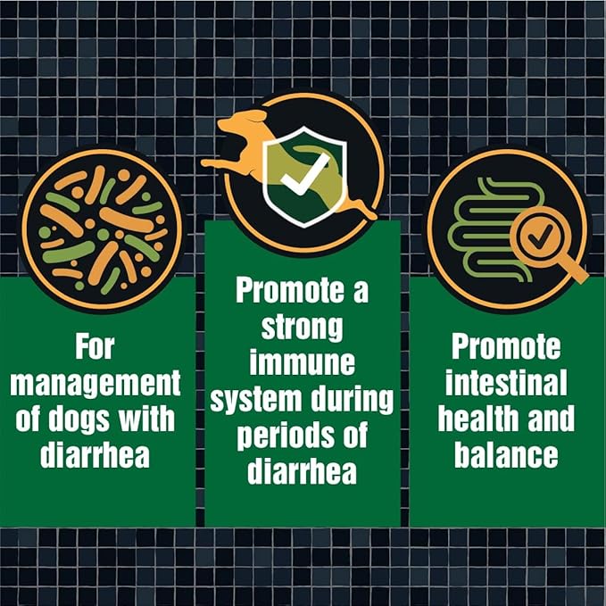 Canine Probiotics for Dogs Diarrhea Relief Flora & Immune Support – “Army Soldier Owned” Veterinary Dog Probiotics for Digestive Health, Firmer Stools & Sensitive Stomach, 60 Yummy Tablets (Pack of 2)