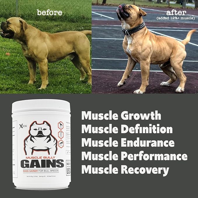 Gains - Mass Weight Gainer for Dogs, Whey Protein, Flax Seed (for Bull Breeds, Pit Bulls, Bullies) Increase Healthy Natural Weight, Made in The USA (90 Servings)