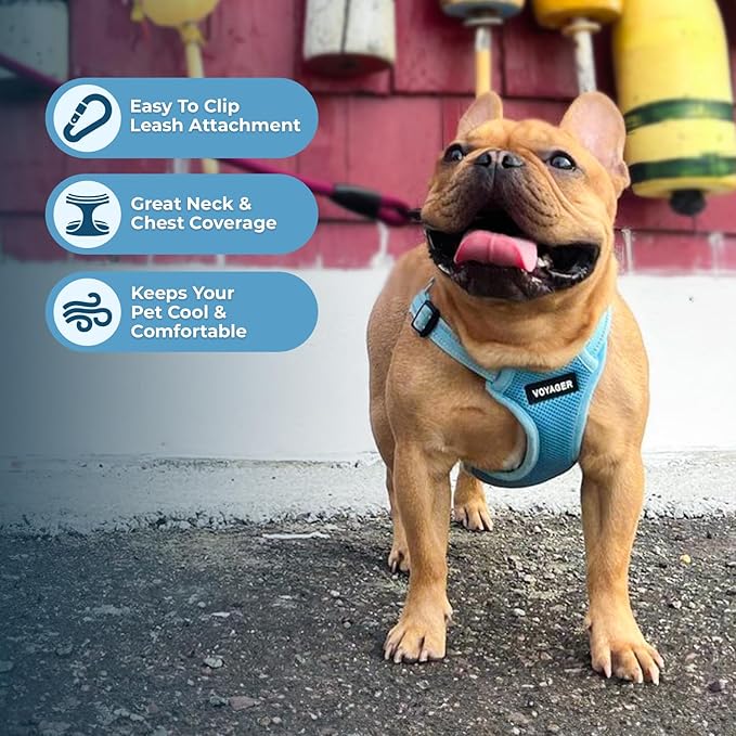 Best Pet Supplies Voyager Adjustable Dog Harness with Reflective Stripes for Walking, Jogging, Heavy-Duty Full Body No Pull Vest with Leash D-Ring, Breathable All-Weather - Harness (Baby Blue), S