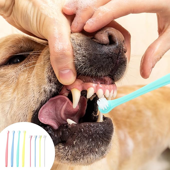 8pcs Dog Toothbrush, 2 Styles Soft Bristle Small Cat Toothbrush Micro Head Kitten Teeth Cleaning Brush Dental Care Supplies for Tiny Puppy Kitty Reduce Plaque Tartar Formation & Bad Breath