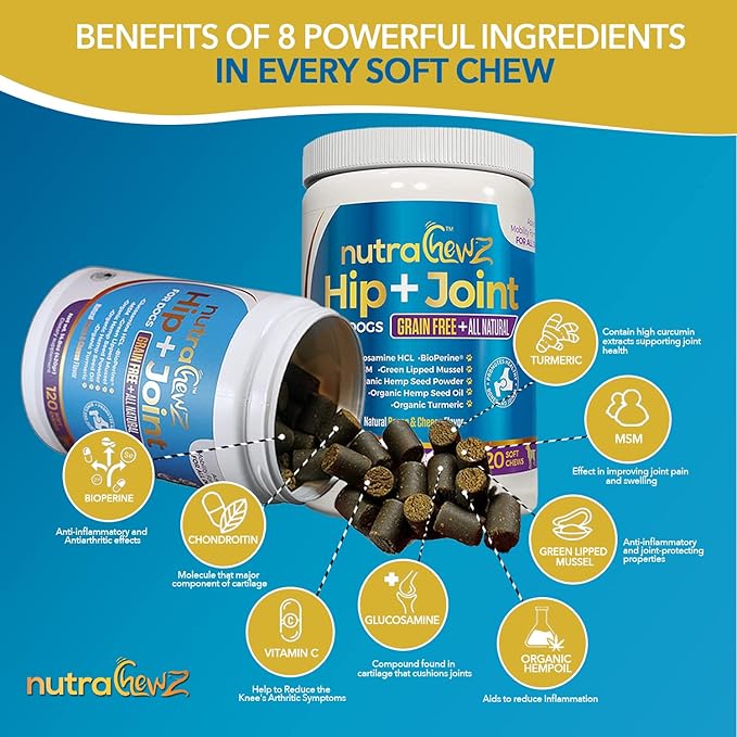 Grain Free Hip & Joint Supplement for Dogs with Organic Hemp Oil, Glucosamine Chondroitin, Turmeric, MSM, Green Lipped Mussel for Arthritis, Pain Relief, Mobility All Natural - 120 Chews