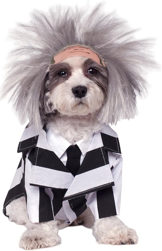 Rubie's Beetlejuice Pet Costume, Small