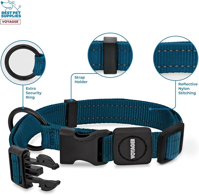 Best Pet Supplies Reflective Dog Collar with Adjustable Length, Heavy-Duty Buckle, and Strong Leash D-Ring, Training, Walking, Jogging Accessory for Small, Medium, and Large Breeds - Blue, L