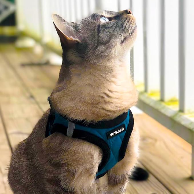 Voyager Step-In Plush Dog Harness – Soft Plush, Step In Vest Harness for Small and Medium Dogs by Best Pet Supplies - Harness (Turquoise Plush), XL (Chest: 20.5 - 23")