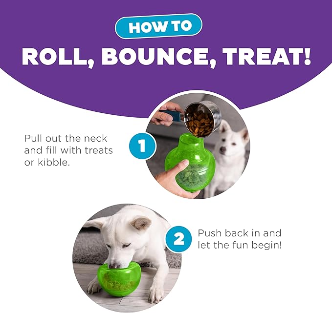 Outward Hound Snoop Interactive Treat Dispensing Dog Toy, Large, Green