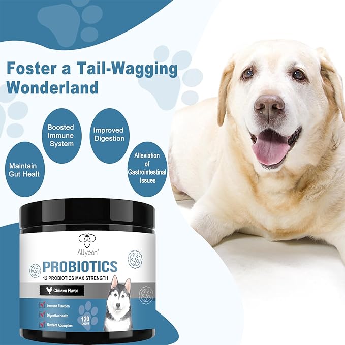 Probiotics for Dogs, Dog Probiotics for Yeast Infection, Itchy Skin and Itchy Ears, Gut Health for Dogs Pet Probiotics Chews Diarrhea Treatment Enzymes treats Digestive Health Stomach Relief