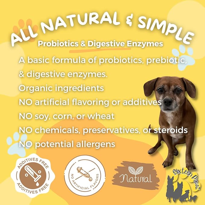 Probiotics, Prebiotics, & Digestive Enzymes for Dogs| Limited Ingredients| Digestive Support |Allergy Relief |Immune Support| Reduces Inflammation| Diarrhea & Gas Relief