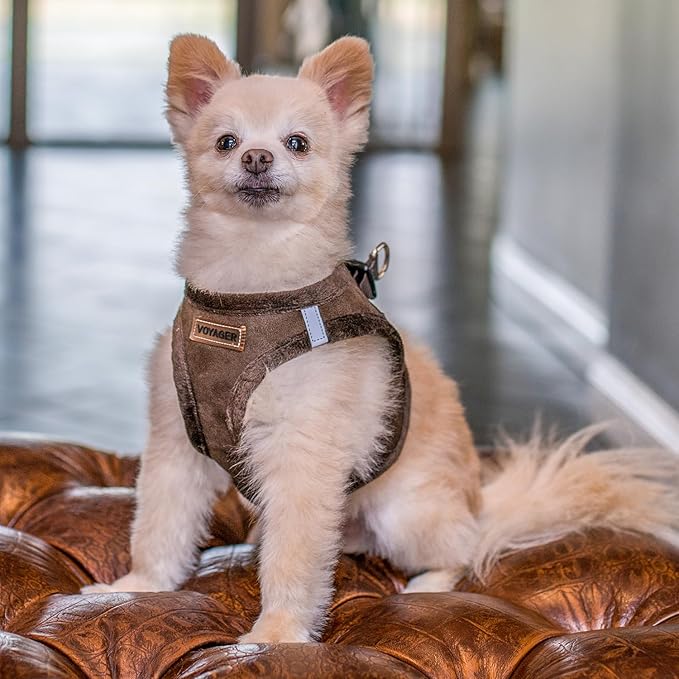 Voyager Step-In Plush Dog Harness – Soft Plush, Step In Vest Harness for Small and Medium Dogs by Best Pet Supplies - Harness (Chocolate Suede), XS (Chest: 13 - 14.5")