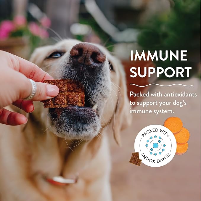 Shameless Pets Jerky Dog Treats, Breakfast in Bed - Healthy Dog Chews for Immune Support with Antioxidants - Dog Treats with Real Premium Bacon - Free from Grain, Corn & Soy - 4.5 oz 1-Pack