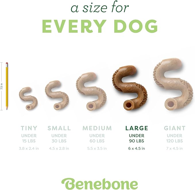 Benebone Tripe Bone Durable Dog Chew Toy for Aggressive Chewers, Real Tripe, Made in USA, Large